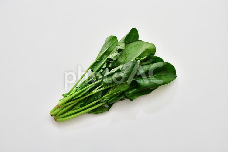 ほうれん草の束 ほうれん草,野菜,緑黄色野菜の写真素材