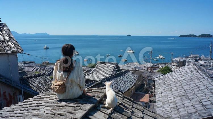 海を眺める女性と猫 女性,猫,後ろ姿の写真素材