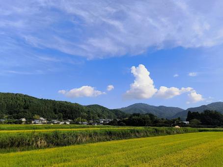田舎の夏、大阪府能勢町 田舎の夏、大阪府能勢町の写真