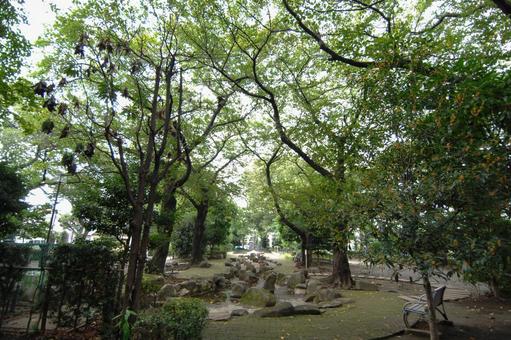 徳殿公園のじゃぶじゃぶ池 徳殿公園,公園,広場の写真素材