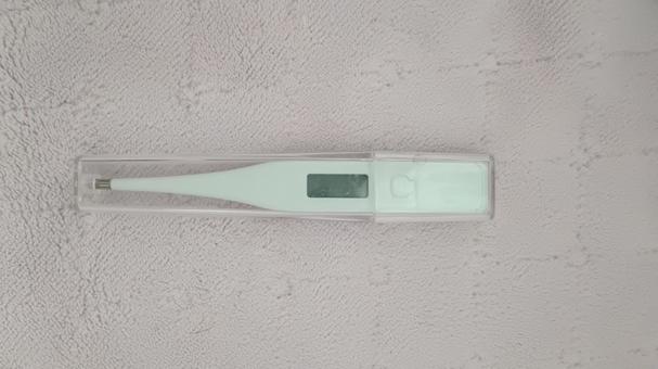 一家に一台体温計は必需品 一家に一台体温計は必需品の写真