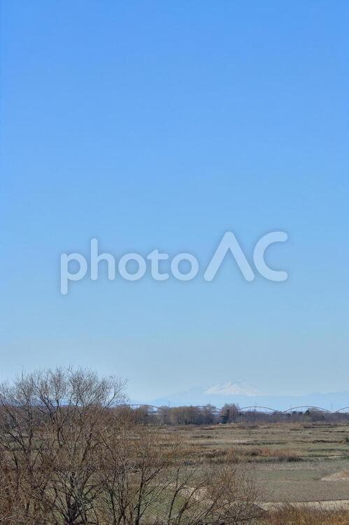 冬の荒川河川敷 荒川,河川敷,田畑の写真素材