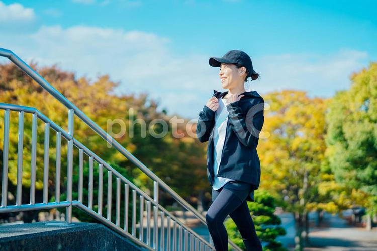 公園でトレーニングするスポーツウェアを着た女性 スポーツウェア,運動,パーカーの写真素材
