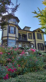 薔薇と洋館 薔薇,バラ,ローズの写真素材