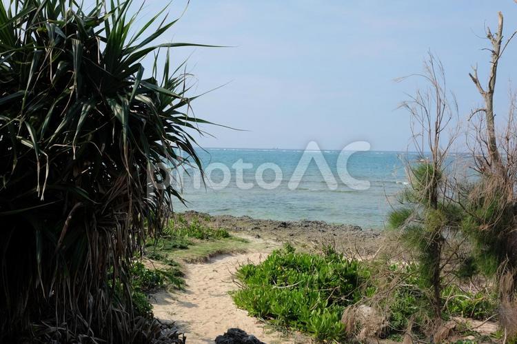 無人島 イメージ 海,無人島,水面の写真素材
