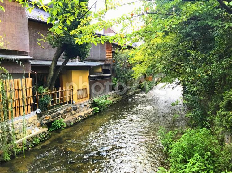 京都の古民家と小川 京都,川,小川の写真素材