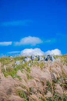 四国地方　四国カルスト台地の風景 カルスト台地,四国,四国地方の写真素材