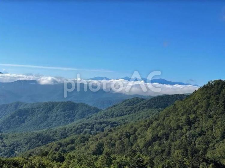 標高1700m8月美ヶ原高原澄んだ青空 空,風景,自然の写真素材