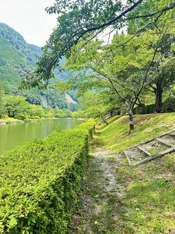 下北山スポーツ公園 下北山スポーツ公園 奈良県下北山村,アウトドア,温泉の写真素材