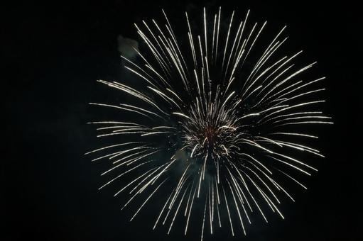 夜空に輝く白い花火 花火,夜空,夜景の写真素材