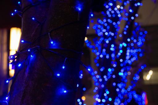 クリスマスのイルミネーション クリスマス,イルミネーション,ブルーライトの写真素材