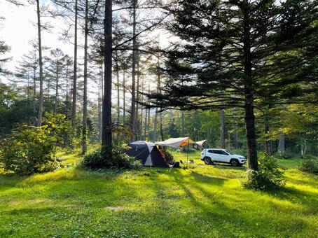 キャンプ テント,タープ,キャンプの写真素材