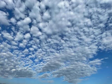空と雲 空と雲の写真