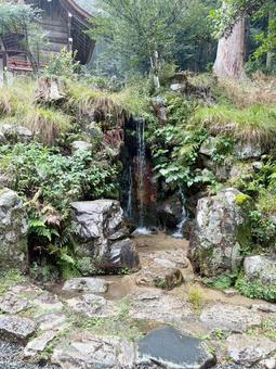 雨の日の小さな滝 滝,緑,雨の写真素材