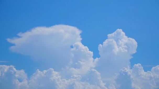 夏の空・もくもくの入道雲 夏の空・もくもくの入道雲の写真