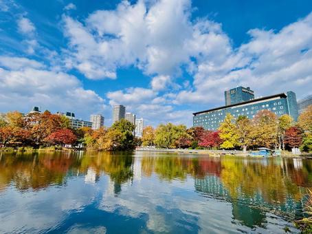Photo, reflection, water mirror, autumn leaves, 
