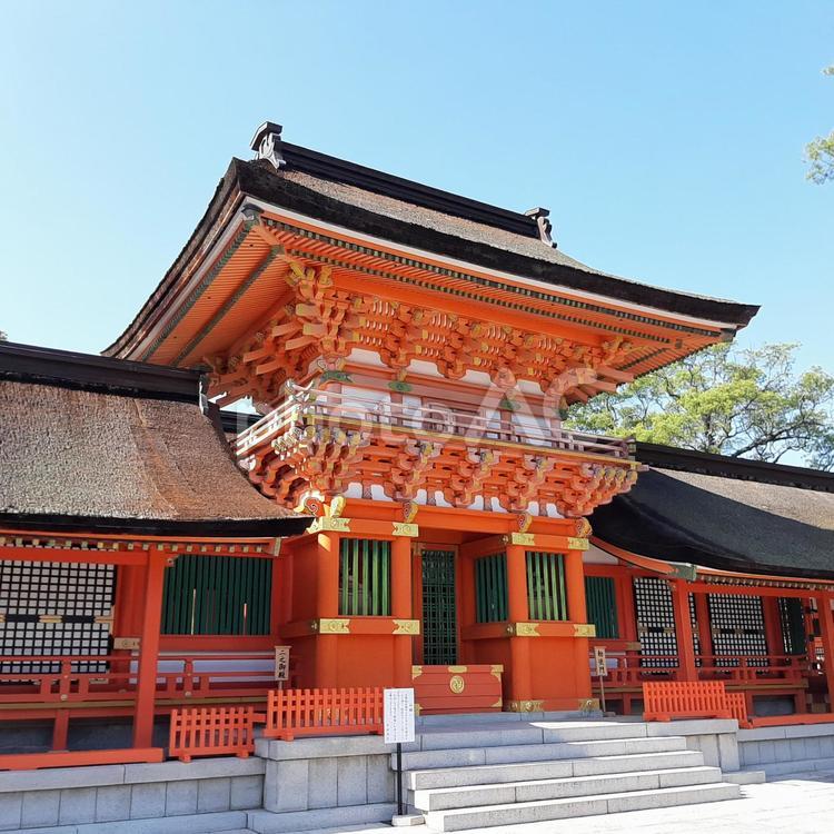 宇佐神宮 宇佐神宮,宇佐,神社の写真素材