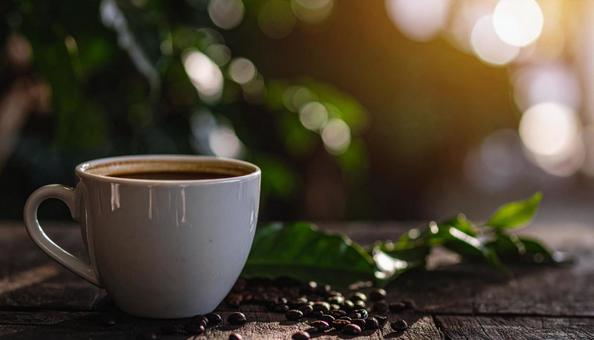 コーヒータイム コーヒー コーヒータイム コーヒーの写真