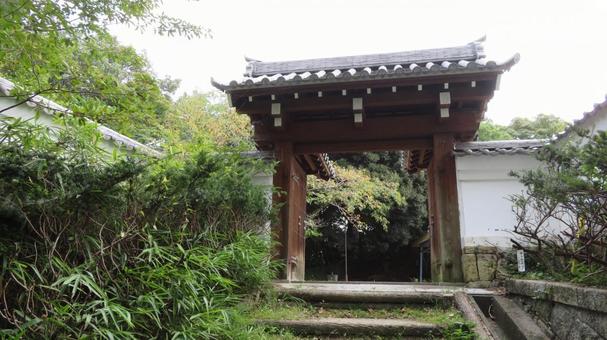大野城 城跡の風景 大野城 城跡の風景の写真