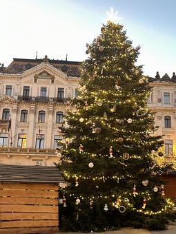 大きなクリスマスツリー クリスマスツリー,クリスマス,12月の写真素材