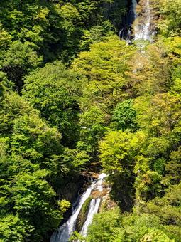 鬼怒川の滝 鬼怒川の滝 風景,自然,滝の写真素材