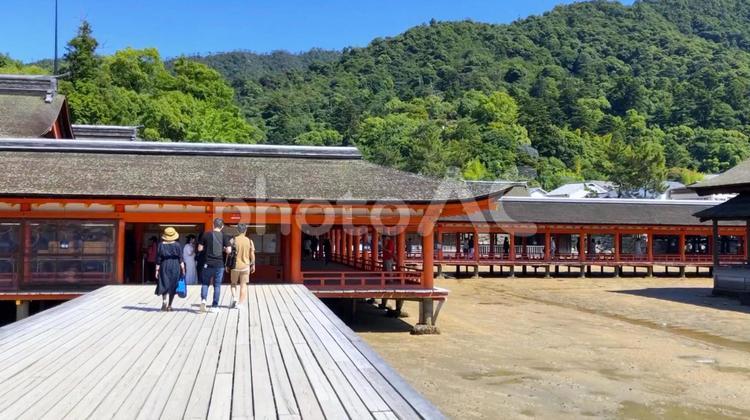 広島・安芸の宮島 厳島神社「社殿」（干潮時） 宮島,広島,厳島神社の写真素材