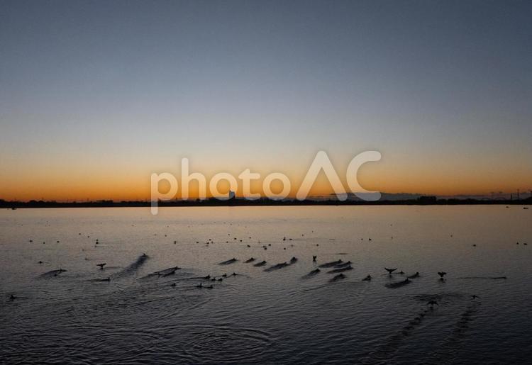 渡良瀬遊水地朝焼け 風景,空,景色の写真素材
