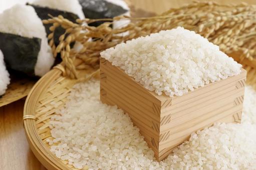 日本の主食お米と美味しそうなおにぎり 米,白米,新米の写真素材
