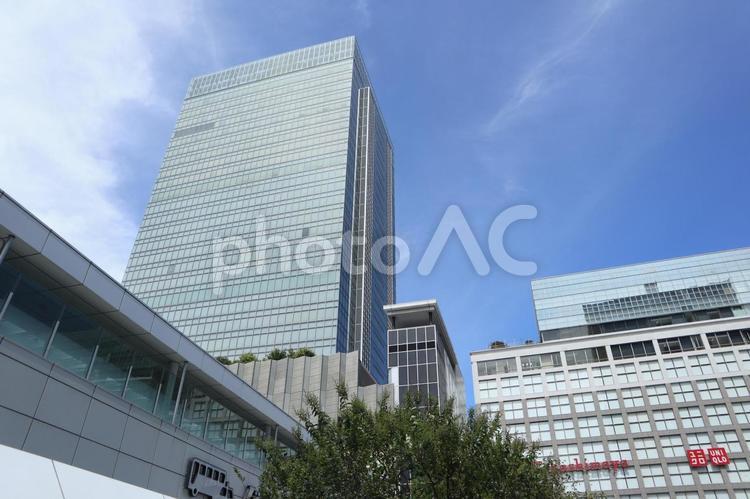 新宿　街並み 新宿,街並み,ビジネス街の写真素材