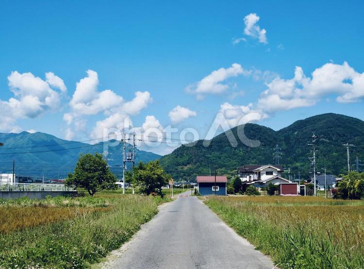 田舎の風景 田舎,道路,田んぼ道の写真素材
