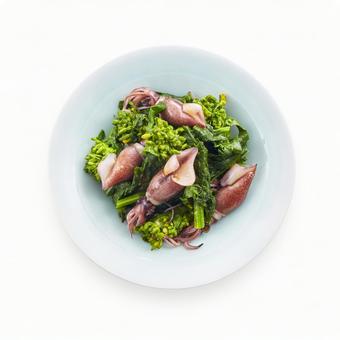 菜の花とホタルイカの辛子和え 菜の花とホタルイカの辛子和え 菜の花とホタルイカの辛子和え,菜の花,真俯瞰の写真素材