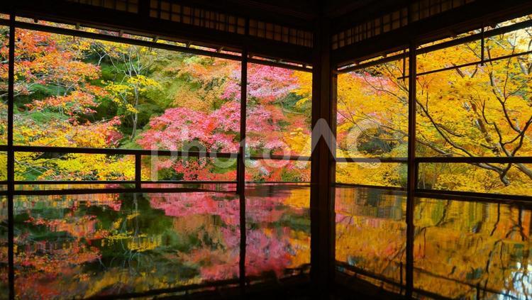 美しき瑠璃光院 紅葉,秋,京都の写真素材