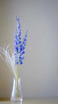 花のある暮らし 花のある暮らしの写真