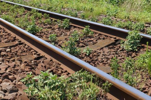 草だらけのローカル線の線路 草だらけのローカル線の線路の写真