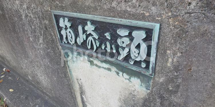 汐井大橋　　 汐井大橋,道路,車道の写真素材