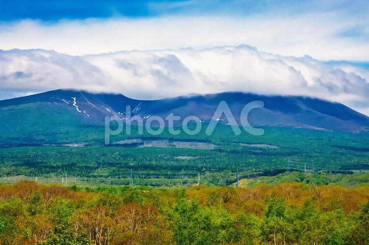 初夏の風薫る北海道胆振地方の風景、樽前山 北海道,胆振,樽前山の写真素材