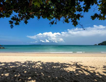 青空と砂浜 青空と砂浜の写真