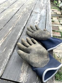 ガーデニング作業のイメージ ガーデニング,庭いじり,手袋の写真素材