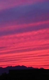 夕焼け 夕焼けの写真