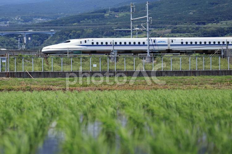 田園と富士山と東海道新幹線N700a 東海道新幹線,新幹線,jr東海の写真素材