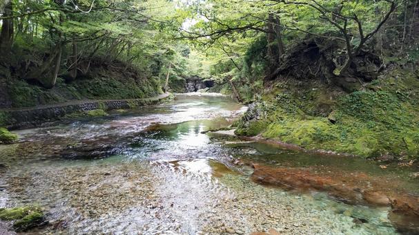 渓流 渓流,川,水の写真素材