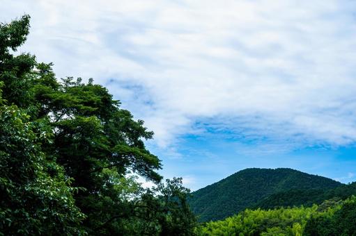 夏の青空と森林 夏の青空と森林 青空,森林,森の写真素材