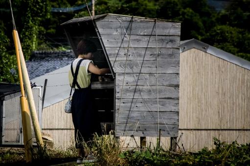 <素材>無人販売所で買い物をする女性” <素材>無人販売所で買い物をする女性” 女性,買う,買い物の写真素材