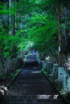 山梨県石割神社の登り階段。下りに見える 山梨県石割神社の登り階段。下りに見えるの写真