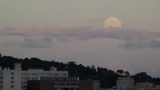 街の夕暮れの満月の出 街,夕暮れ,満月の写真素材
