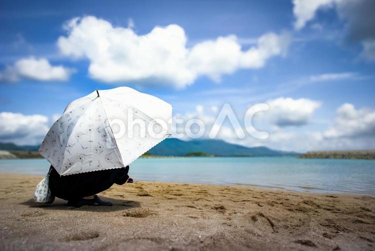 ＜素材＞夏の海の砂浜で日傘に隠れる女性 女性,人物,青空の写真素材
