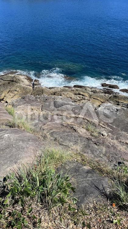 【和歌山】鬼ヶ城の風景 鬼ヶ城,熊野市,岩の写真素材