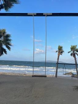 ヤシの木ブランコ ブランコ,ヤシの木,空の写真素材