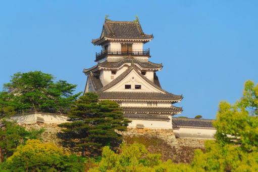 【高知県】高知城 高知城,天守閣,高知の写真素材