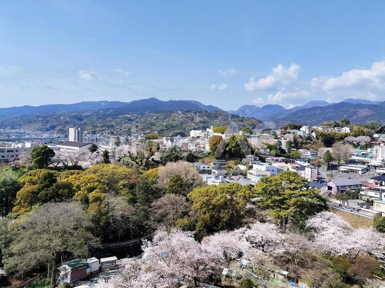 小田原城天守閣から南西　桜と石垣山方面 小田原城,天守閣,桜の写真素材